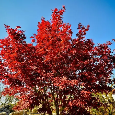 Acero Rosso 아파트
